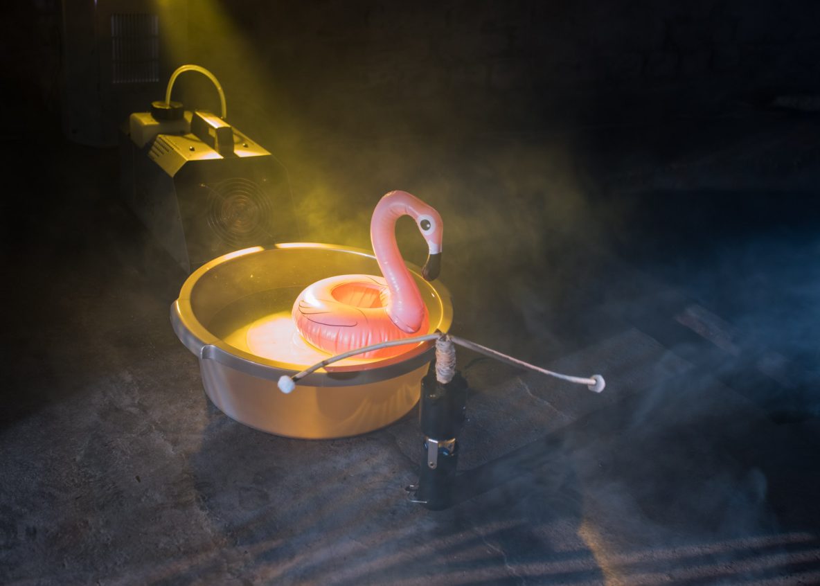 Kuvaaja, photographer: Rosaliina Elgland